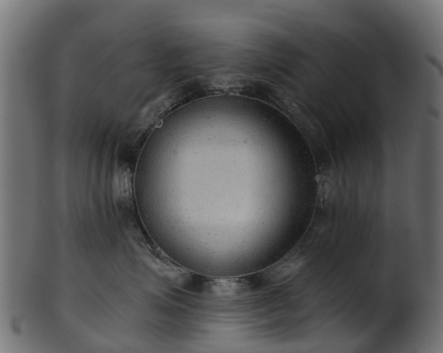 X0000101110623200807031741