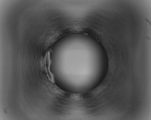 X0000101110624200807031741