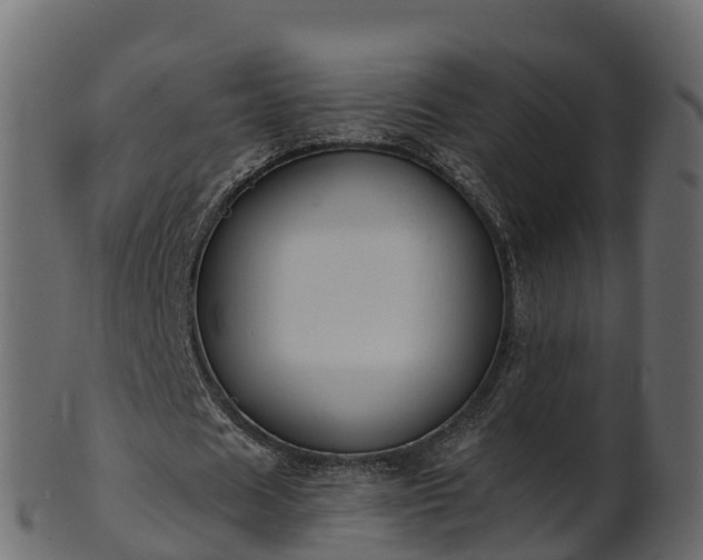 X0000101110625200807031740