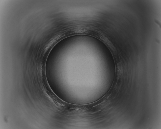X0000101110626200807031740