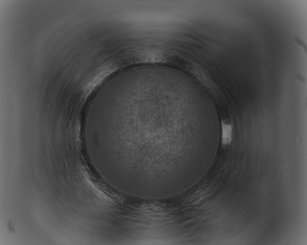 X0000101110627200807031740