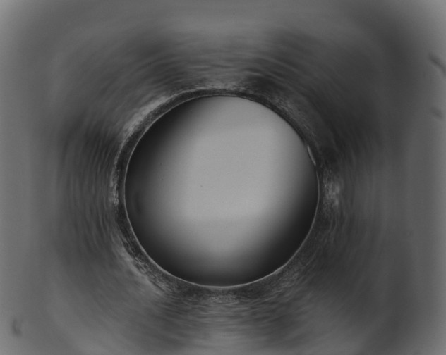 X0000101110628200807031740
