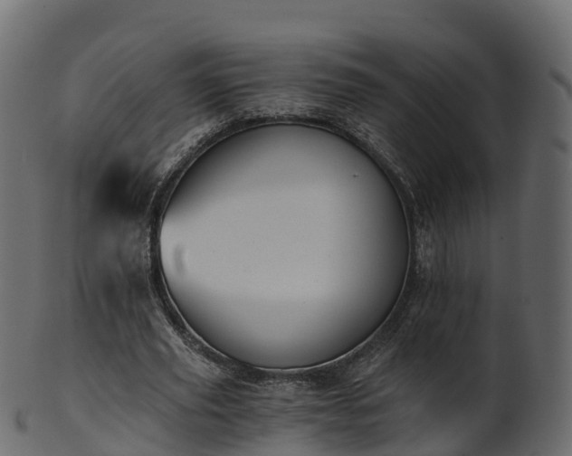 X0000101110629200807031740