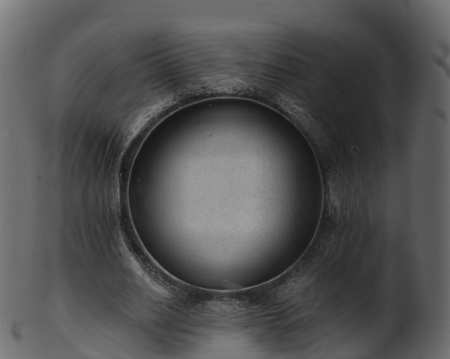 X0000101110630200807031740