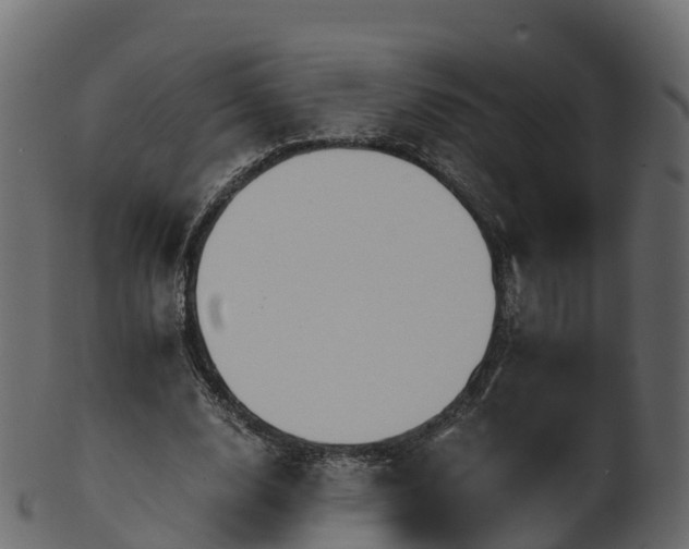X0000101110632200807031740