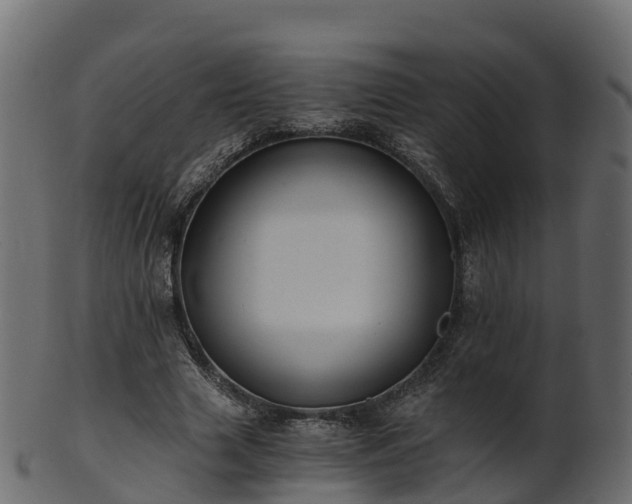 X0000101110633200807031740