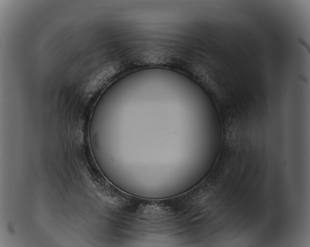 X0000101110635200807031740