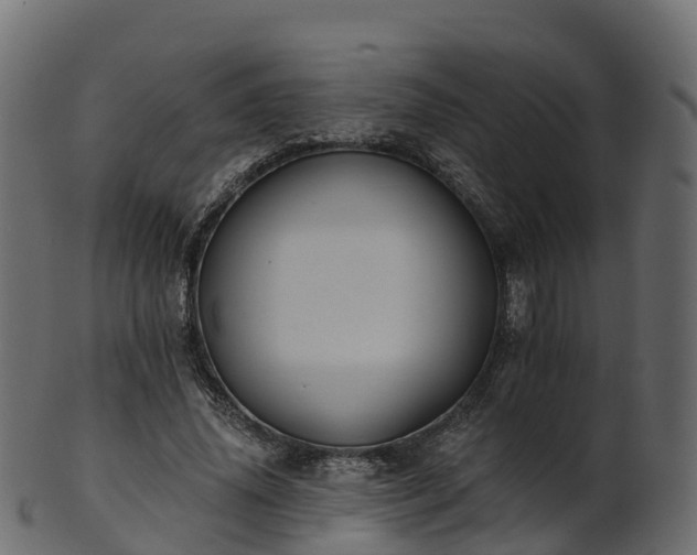 X0000101110636200807031740