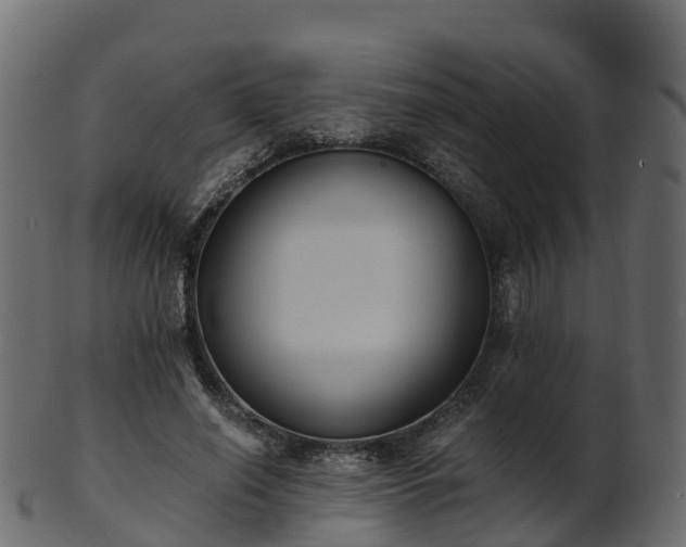 X0000101110638200807031740
