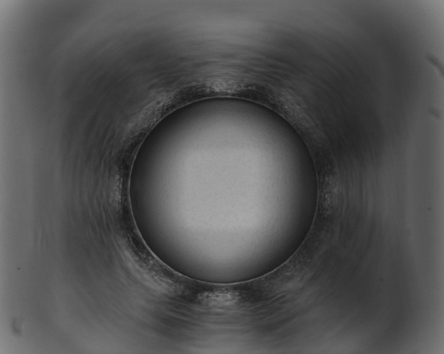 X0000101110639200807031740