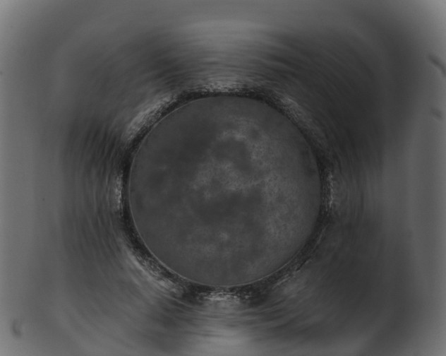 X0000101110640200807031740