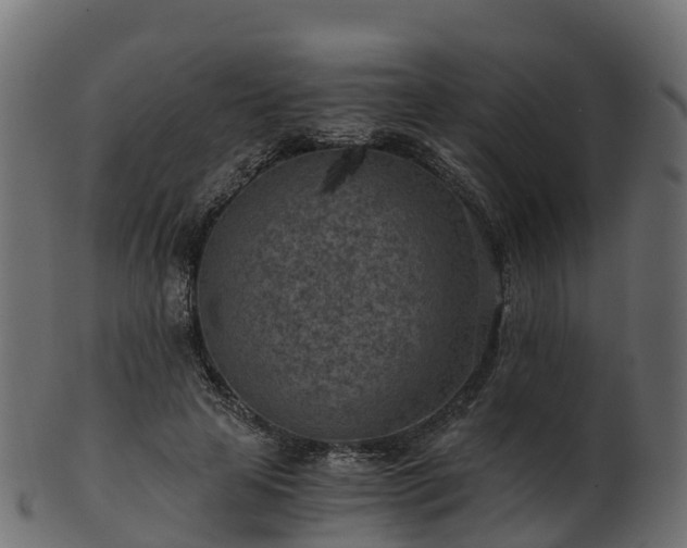 X0000101110641200807031741