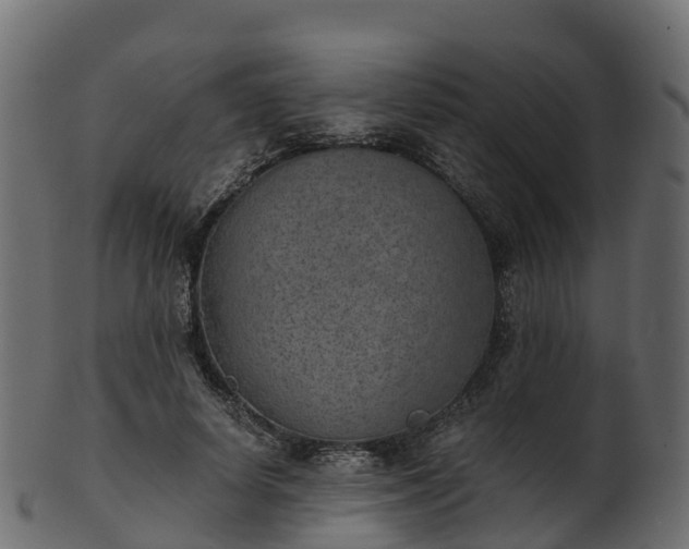 X0000101110642200807031741
