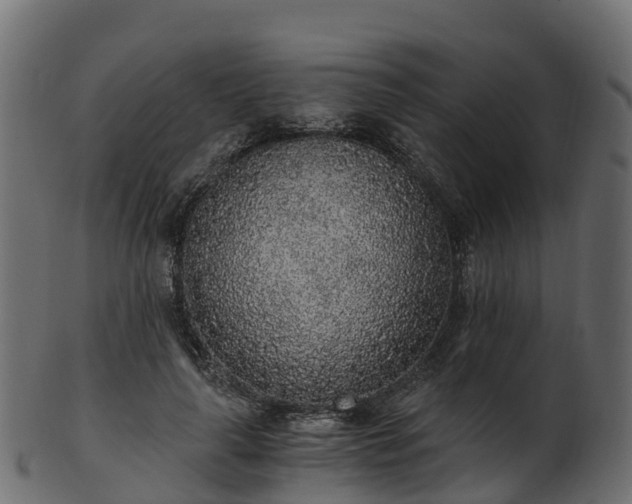 X0000101110643200807031741