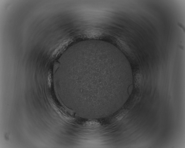 X0000101110644200807031741
