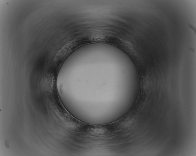 X0000101110645200807031741