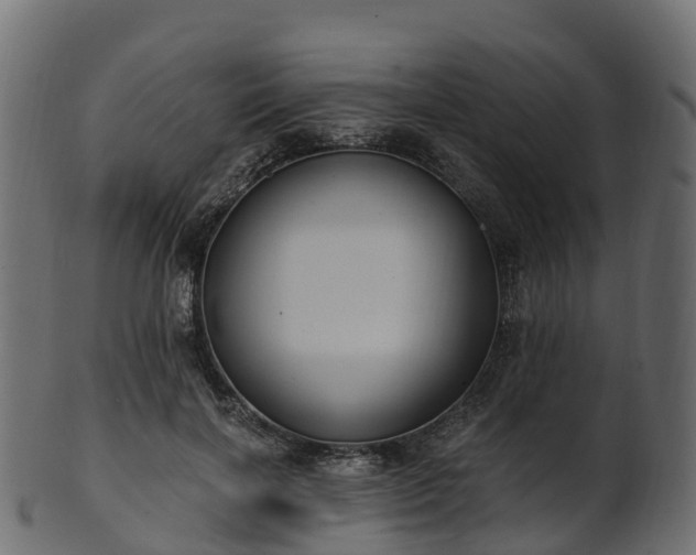 X0000101110646200807031741