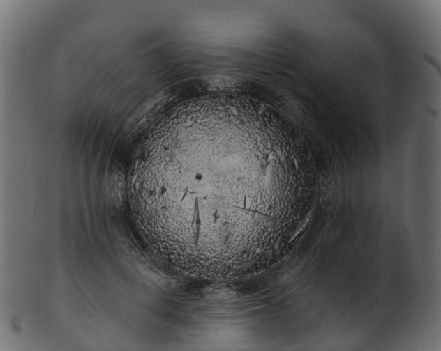 X0000101110648200807031741