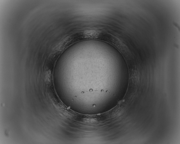 X0000101110649200807031741
