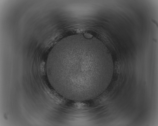X0000101110650200807031741