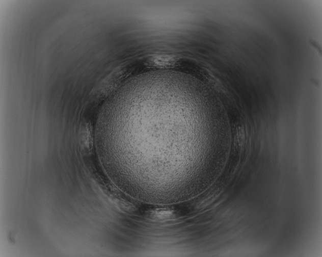 X0000101110651200807031741