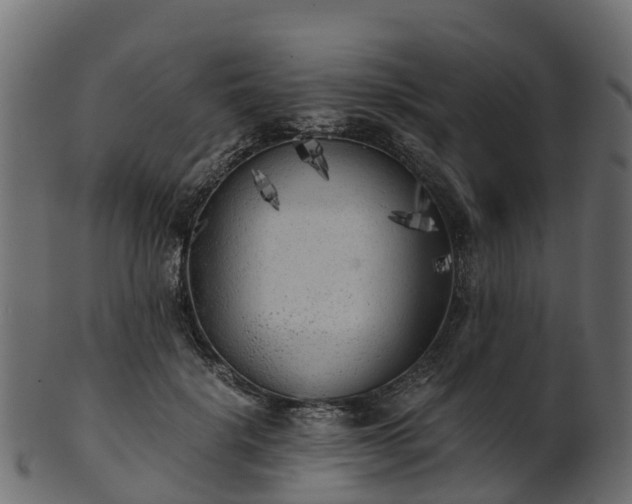 X0000101110652200807031741