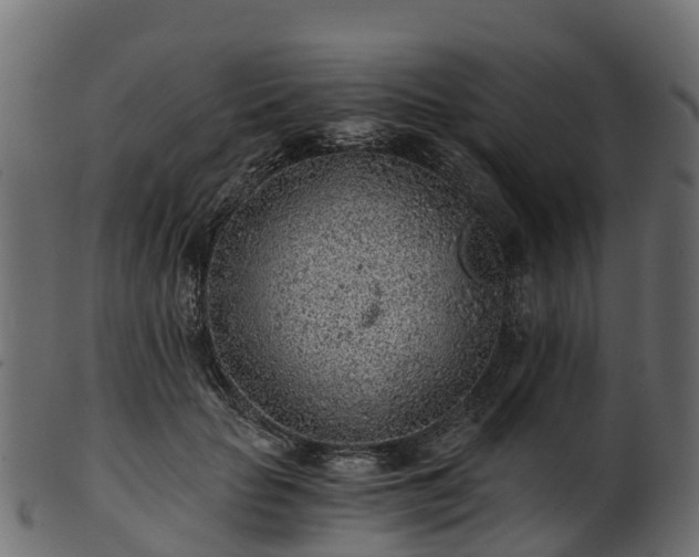 X0000101110653200807031741