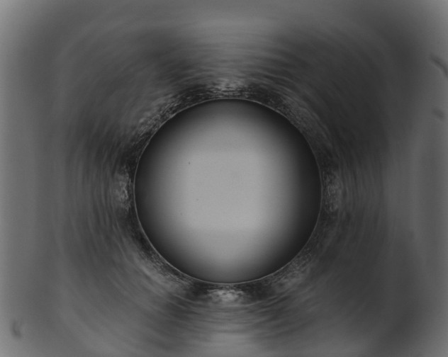 X0000101110654200807031741