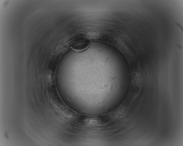 X0000101110655200807031741