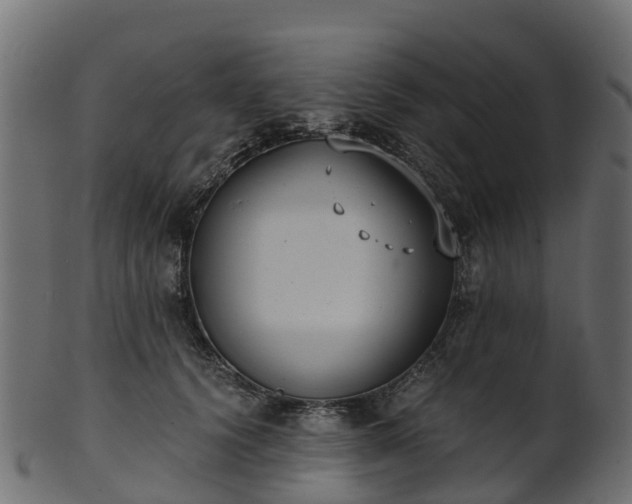 X0000101110656200807031741