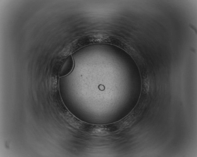 X0000101110657200807031741