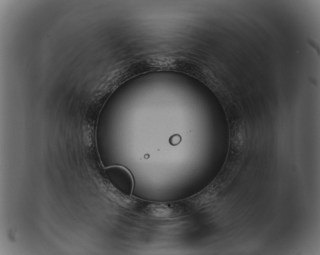 X0000101110658200807031741