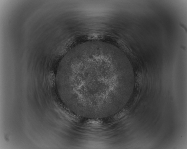 X0000101110659200807031741