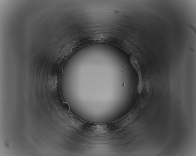 X0000101110660200807031741