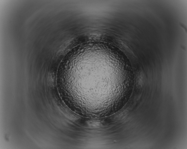 X0000101110661200807031741