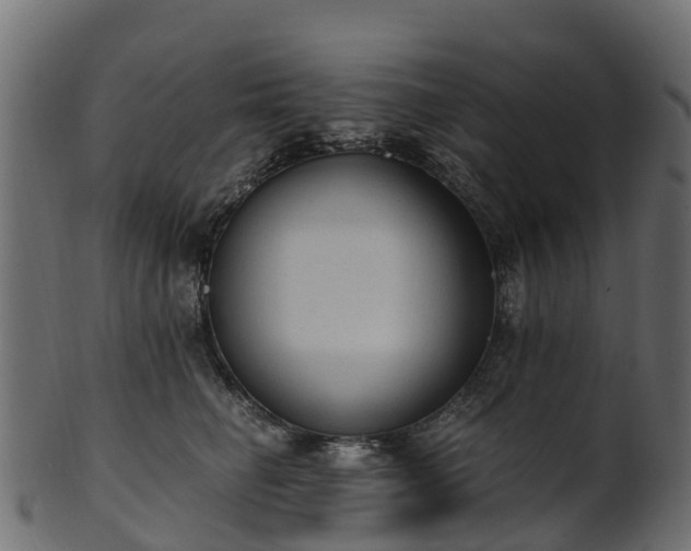 X0000101110662200807031741