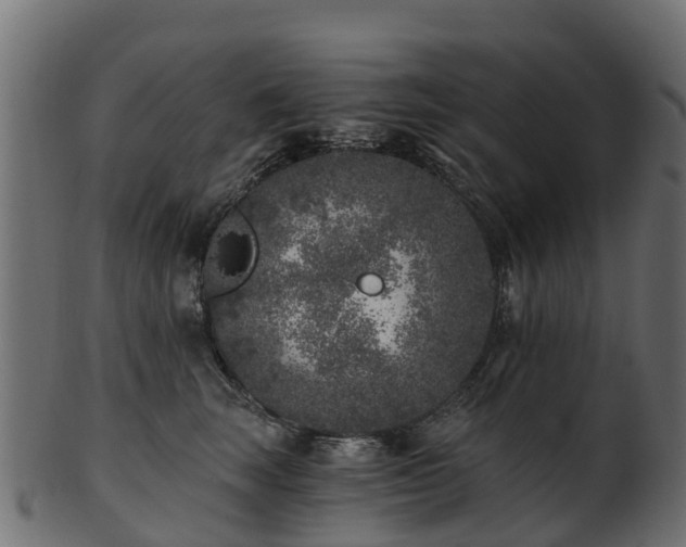 X0000101110663200807031741