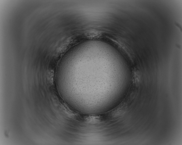 X0000101110664200807031741