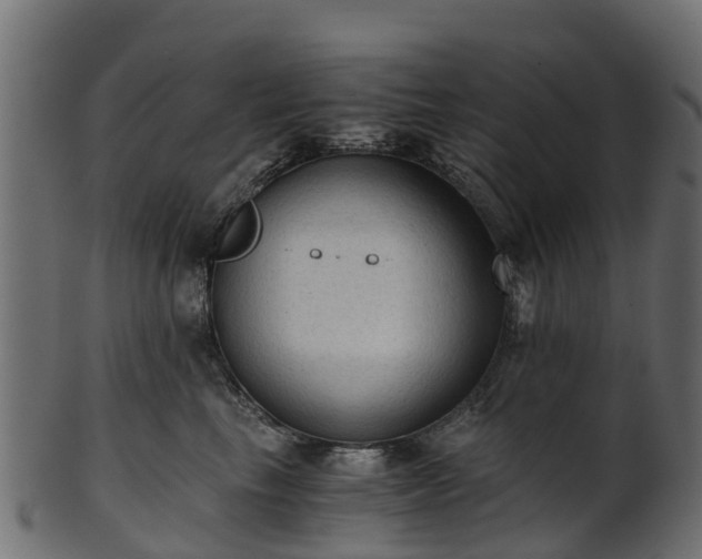 X0000101110665200807031741