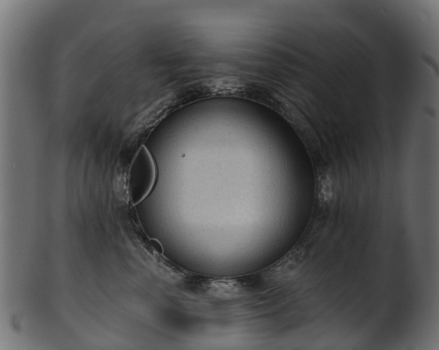 X0000101110666200807031741
