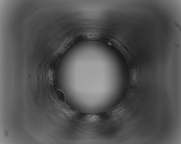 X0000101110667200807031741