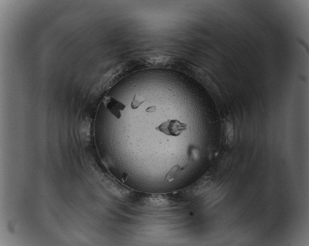 X0000101110668200807031741
