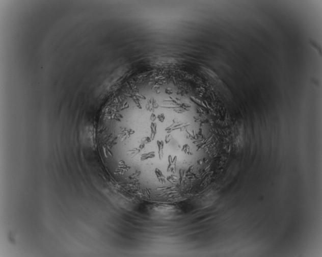 X0000101110669200807031741