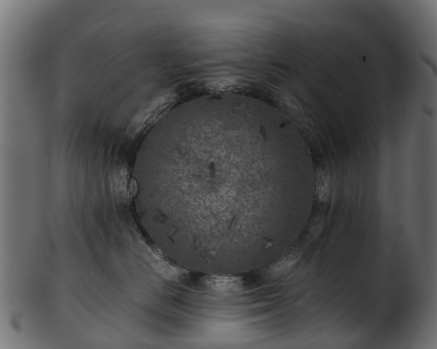 X0000101110670200807031741