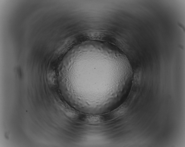 X0000101110671200807031741