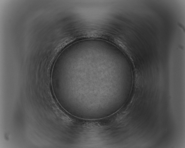 X0000101110673200807031740
