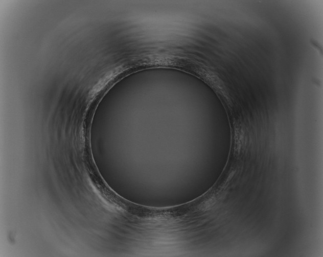 X0000101110674200807031740