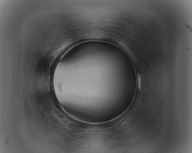 X0000101110675200807031740