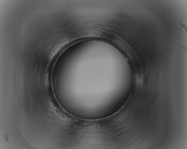X0000101110676200807031740