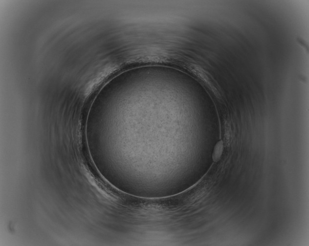 X0000101110677200807031740